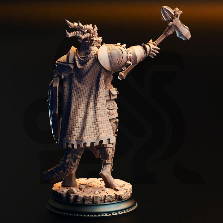 Silver Dragonborn Knights Miniature Set