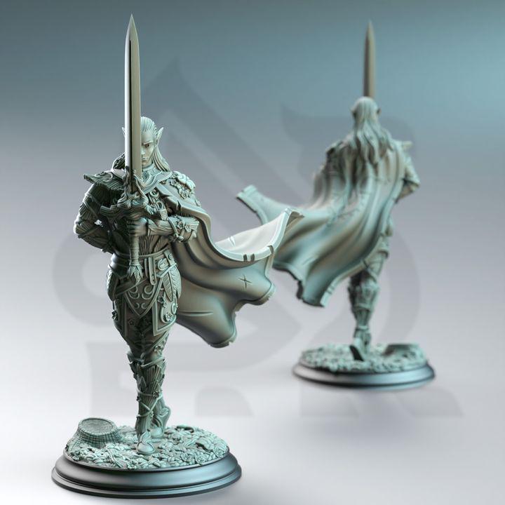 Alysion Fey Elf Duelist Miniature – DM Stash