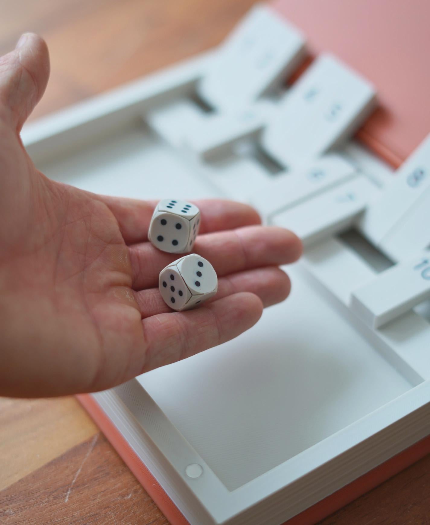 PlayBook'd Shut the Box Dice Game – Book Style Travel Board Game