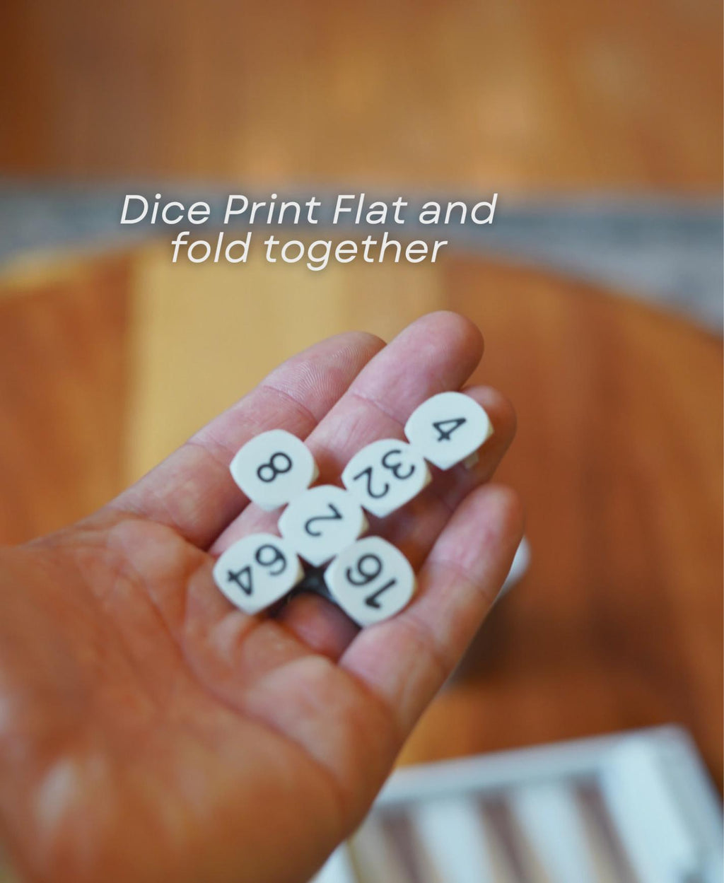 PlayBook'd Backgammon – Hidden Book Board Game, Shelf Decor