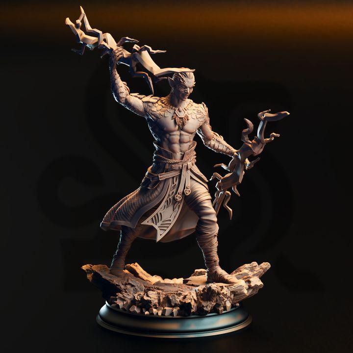 Styrax Dragonsoul sorcerer miniature, photo 2