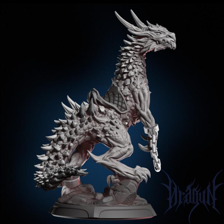 Drake Rider Pack, epic bosses and heroes miniature set, photo 2